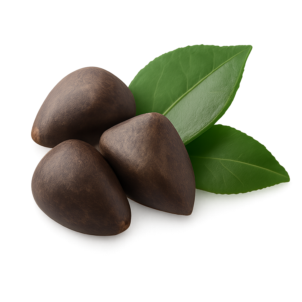 Camellia Seed Oil — Silken Hydration