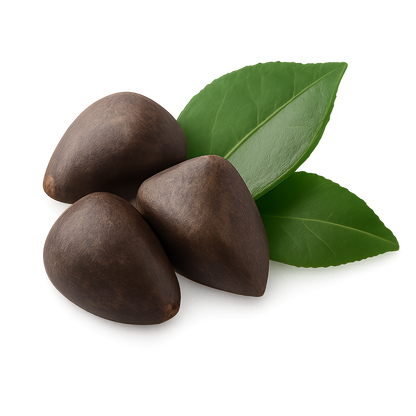 Camellia Seed Oil — Silken Hydration